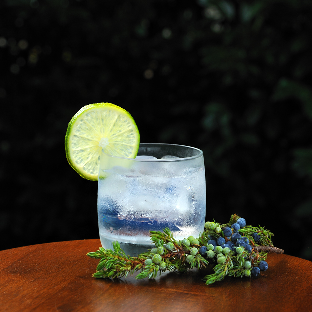 Gin and Tonic « In Vino Paratus